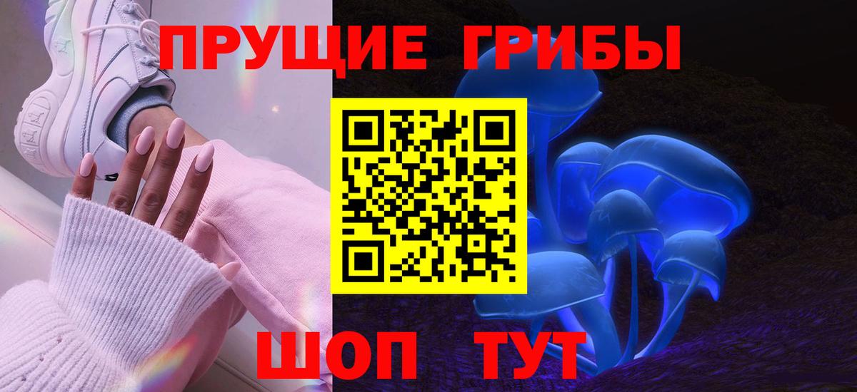 Санкт-Петербург  Галлюциногенные грибы Psilocybine cubensis  Вход с VPN 